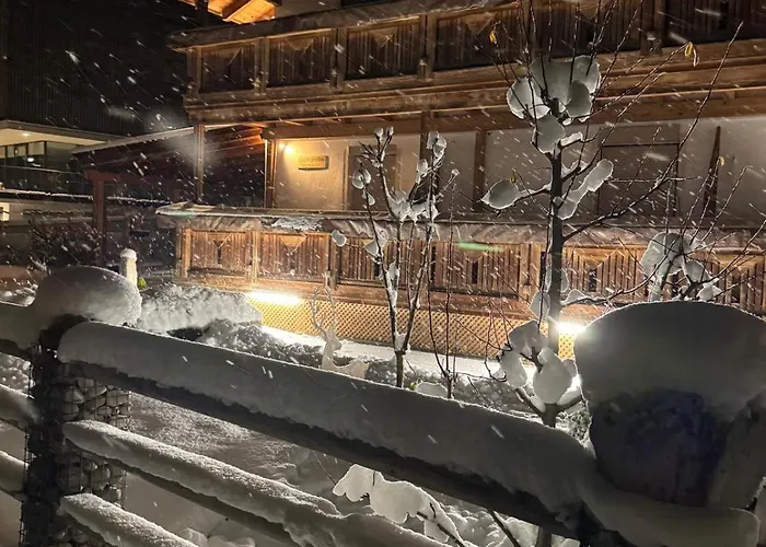 Apart-gerlos 公寓 *